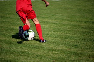 爱游戏体育-CBA球队加强后勤保障体系优化训练和比赛准备，cba后备联赛